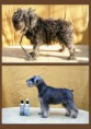 /album/fenykepgaleria/schnauzer-jpg/