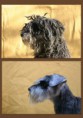 /album/fenykepgaleria/schnauzer2-jpg/