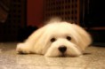 /album/fenykepgaleria/img-5949-2-jpg/