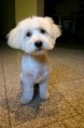 /album/fenykepgaleria/img-5960-2-jpg/