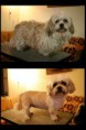 /album/fenykepgaleria/aprilis-majus-jpg/