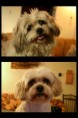 /album/fenykepgaleria/aprilis-majus1-jpg/