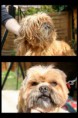 /album/fenykepgaleria/aprilis-majus2-jpg/